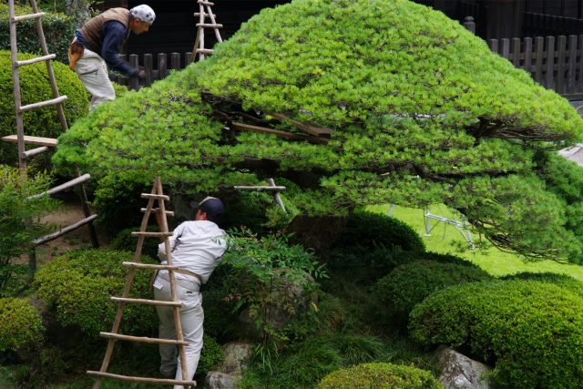 事業紹介ー 管理部門 造園 剪定 外構工事は岐阜市の株式会社田中造園へ 職人募集中